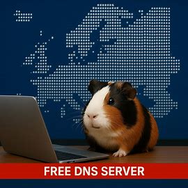 I asked https://www.bing.com/images/create: A guinea pig sits behind a laptop and smartphone on a table, in a sort of newsreel studio, with the European continent projected in ASCII Art behind it and the text free DNS server below it on a newsreel. The height is a maximum of 120 to 180 pixels, and the width is 250 to 350 pixels. The guinea pig sits slightly askew in front of the lens and is black, white, and brown.
